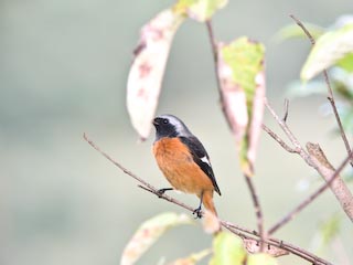IMG_1414.jpg