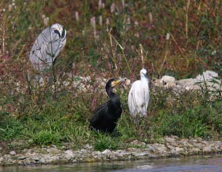 IMG_1754.jpg