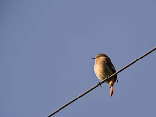 IMG_1788.jpg