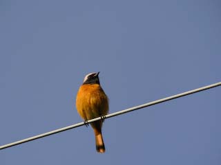IMG_1835.jpg
