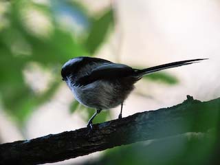 IMG_1849.jpg