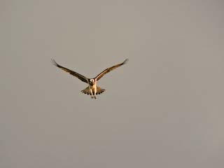 IMG_2220.jpg