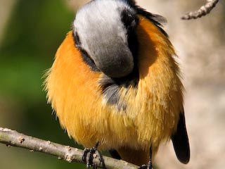 IMG_0688.jpg