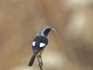 IMG_1186.jpg