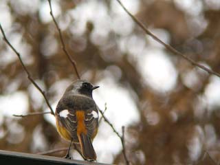 IMG_1332.jpg