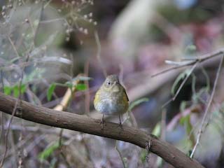IMG_1671.jpg