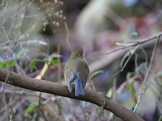 IMG_1676.jpg
