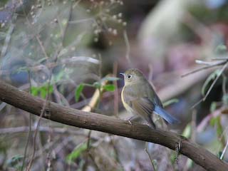 IMG_1677.jpg