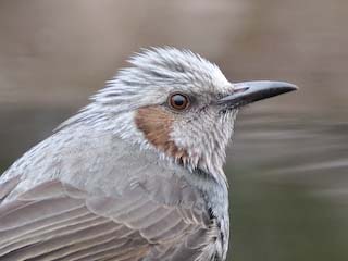 IMG_2375-2.jpg