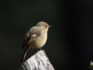 IMG_2861.jpg