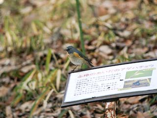 IMG_2976.jpg