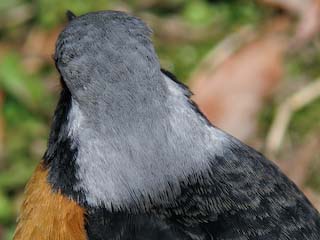 IMG_3171-2.jpg
