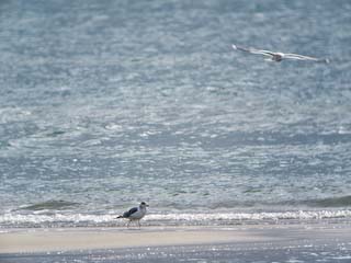 IMG_3421.jpg