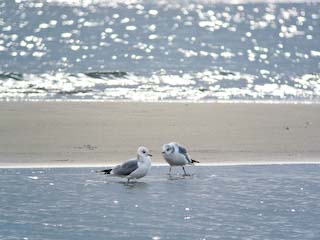 IMG_3440.jpg