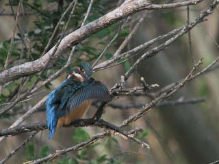 IMG_1493.jpg
