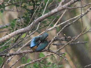 IMG_1512.jpg