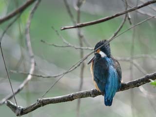 IMG_1549.jpg