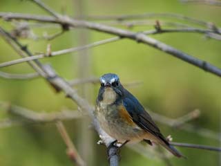 IMG_1663.jpg