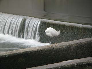 IMG_2458.jpg