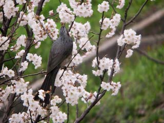 IMG_2611.jpg