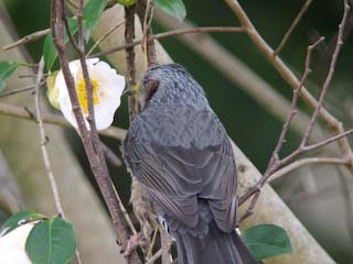 IMG_2844.jpg
