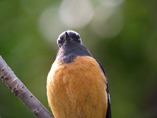 IMG_3106.jpg