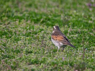 IMG_3334.jpg