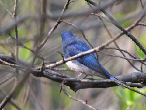 IMG_4128.jpg