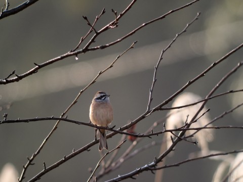 img_2009 img_2009