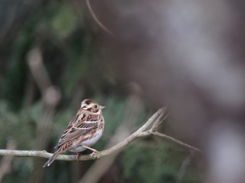 img_5877 img_5877