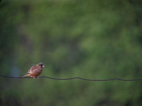 img_1691 img_1691