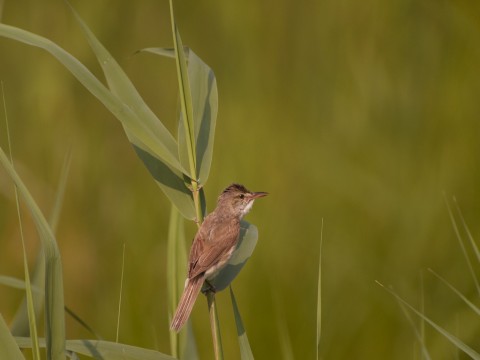 P1020121 P1020121