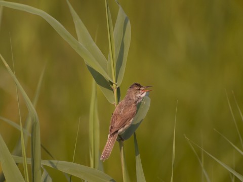 P1020122 P1020122