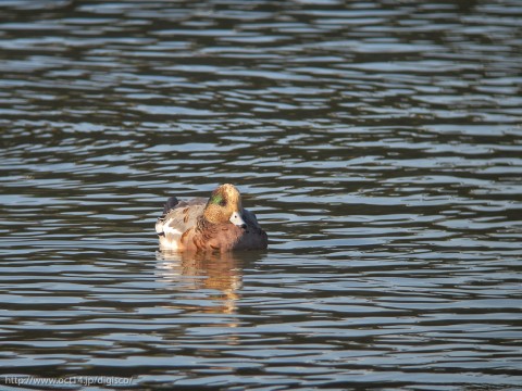 IMG_1738