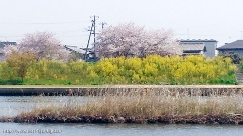 2011042110500000