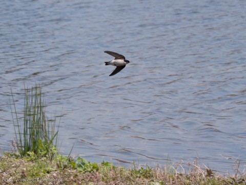 P1140134