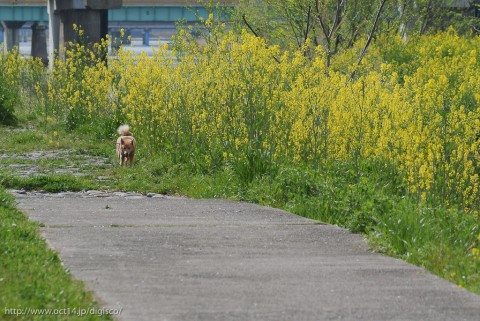 DSC_0326