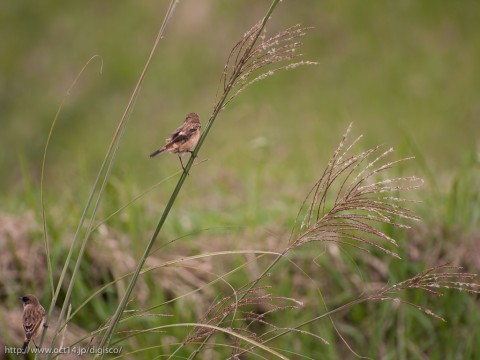 P1140945
