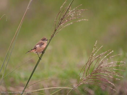 P1140960