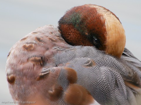 P1000332